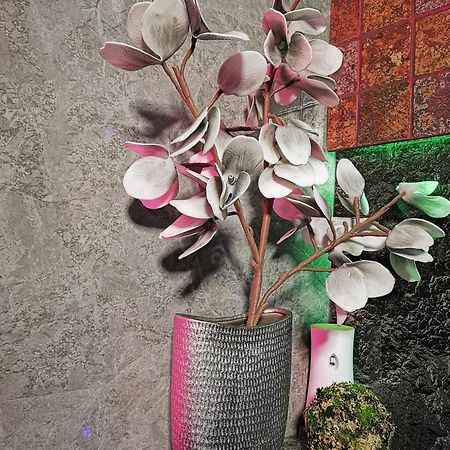 Crystal Central Apartment براشوف المظهر الخارجي الصورة