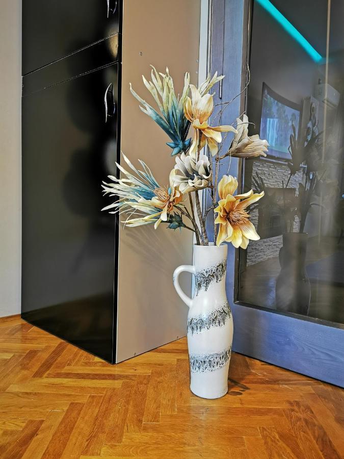 Crystal Central Apartment براشوف المظهر الخارجي الصورة
